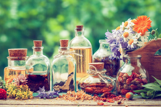 Unlocking the Power of Herbal Tinctures: A Faster Path to Holistic Wellness